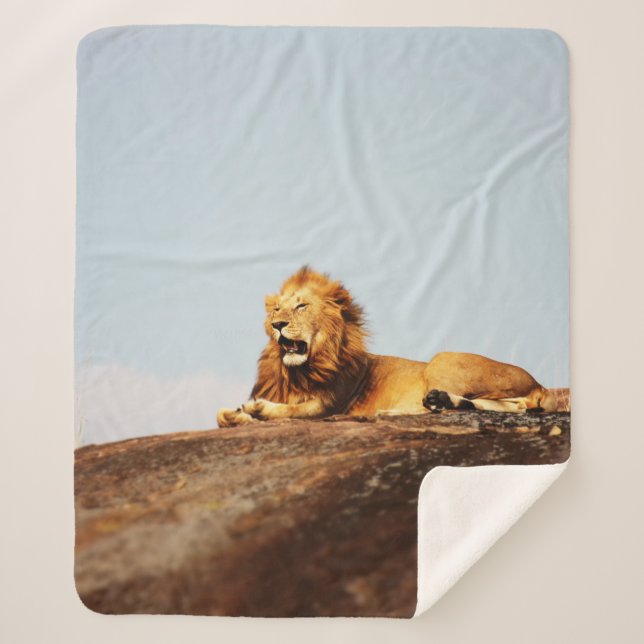 LION ON GROUND DURING DAYTIME SHERPADECKE (Vorderseite)