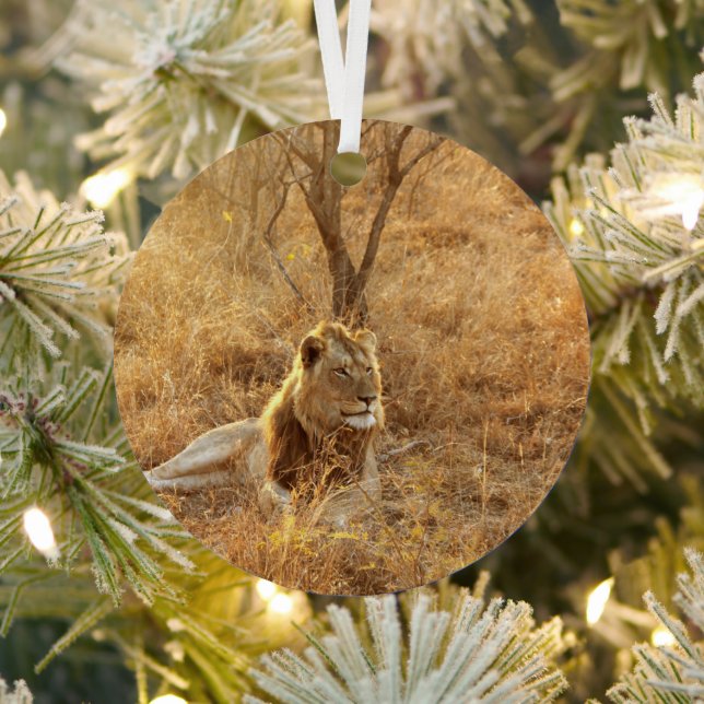 Lion Ornament Aus Metall (InSitu)