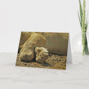 Lion Paws Karte