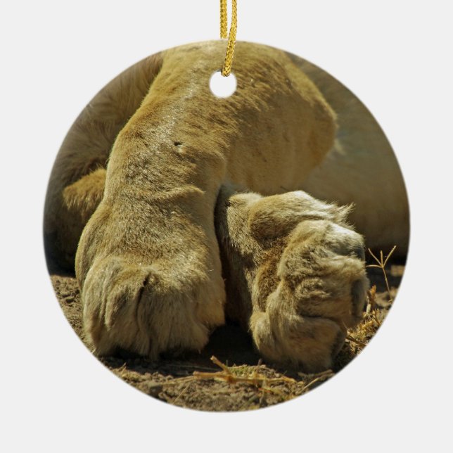Lion Paws Keramikornament (Vorne)
