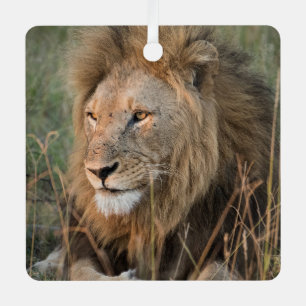 LION Personalize Name Foto Weihnachten Ornament Aus Metall