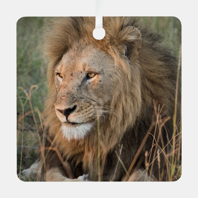 LION Personalize Name Foto Weihnachten Ornament Aus Metall (Vorderseite)
