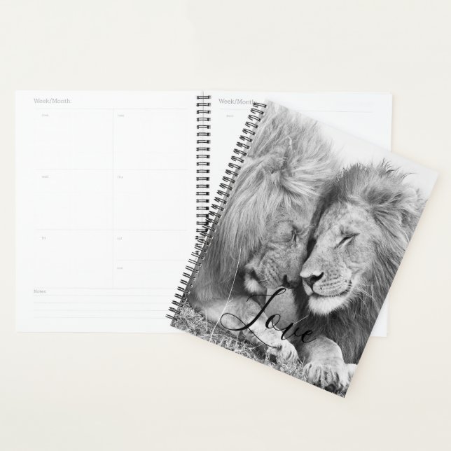 Lion Planer (Anzeige)