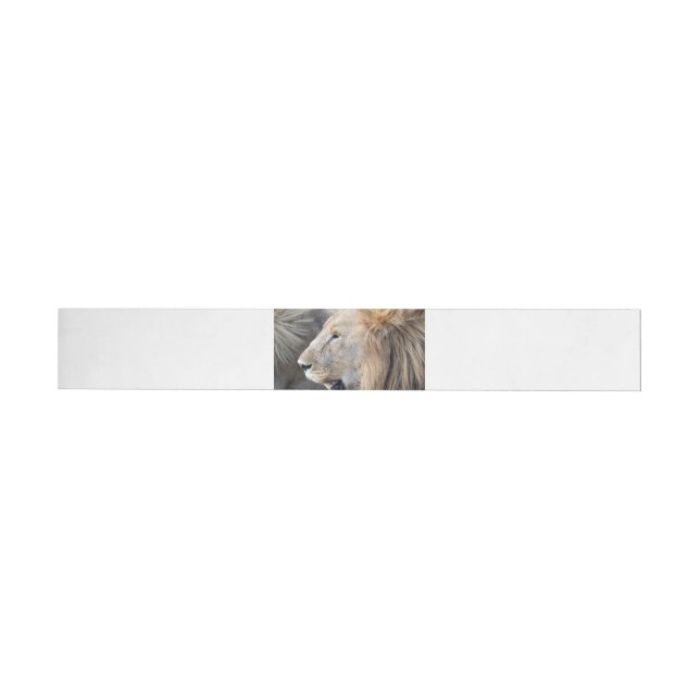 Lion Portrait (Person)