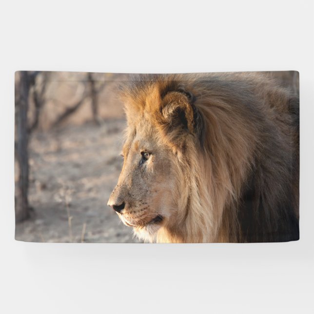 Lion Portrait Banner (Horizontal)