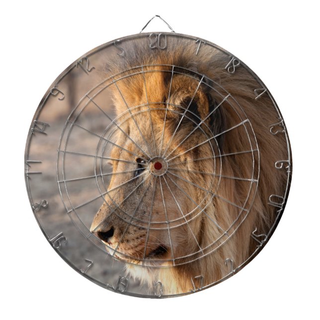 Lion Portrait Dartscheibe (vorne)