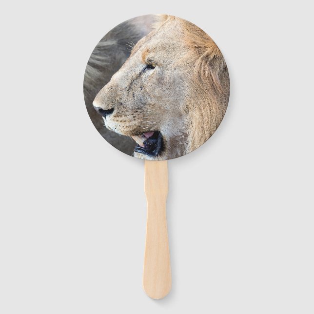 Lion Portrait Fächer (Rückseite)