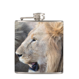 Lion Portrait Flachmann