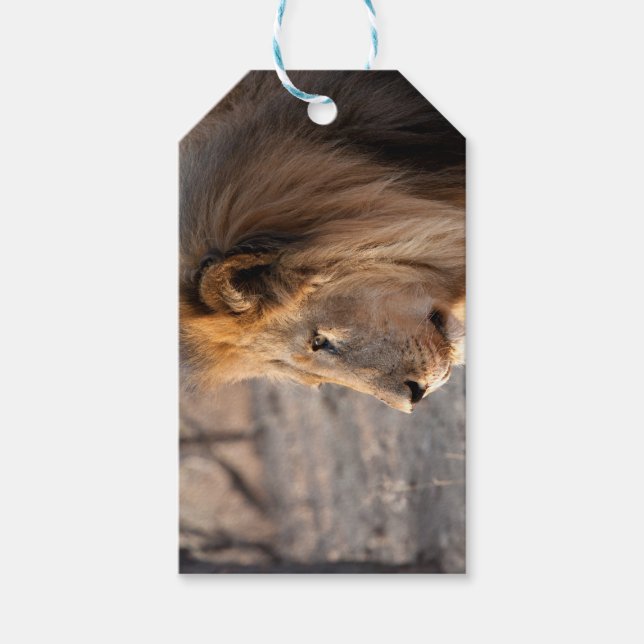 Lion Portrait Geschenkanhänger (Vorderseite)