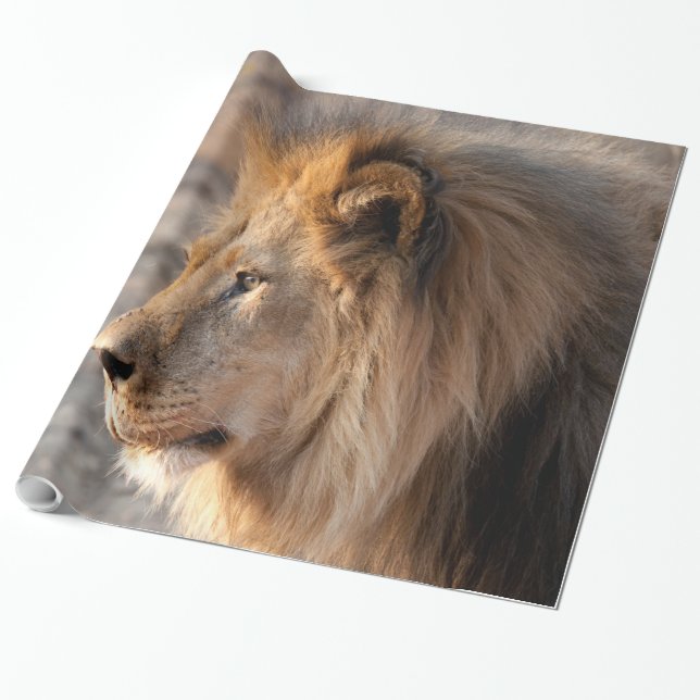 Lion Portrait Geschenkpapier (Ungerollt)