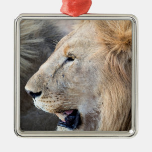 Lion Portrait Ornament Aus Metall