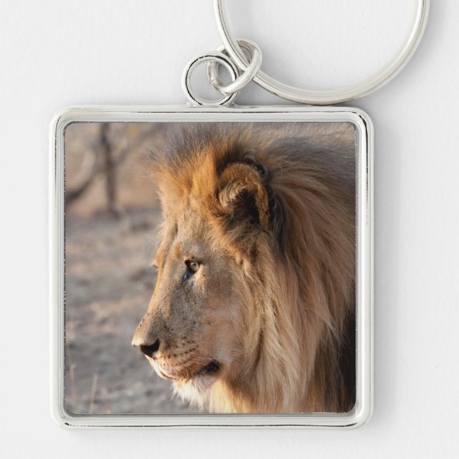 Lion Portrait Schlüsselanhänger (Vorne)