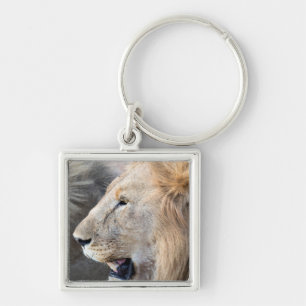 Lion Portrait Schlüsselanhänger