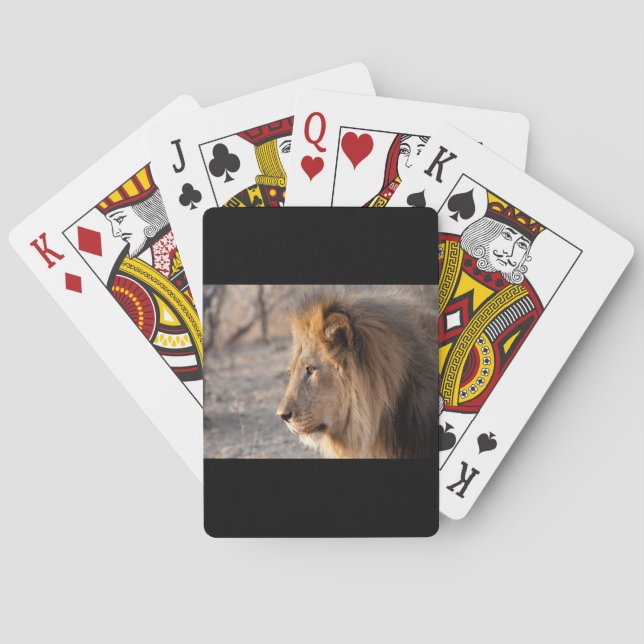 Lion Portrait Spielkarten (Rückseite)