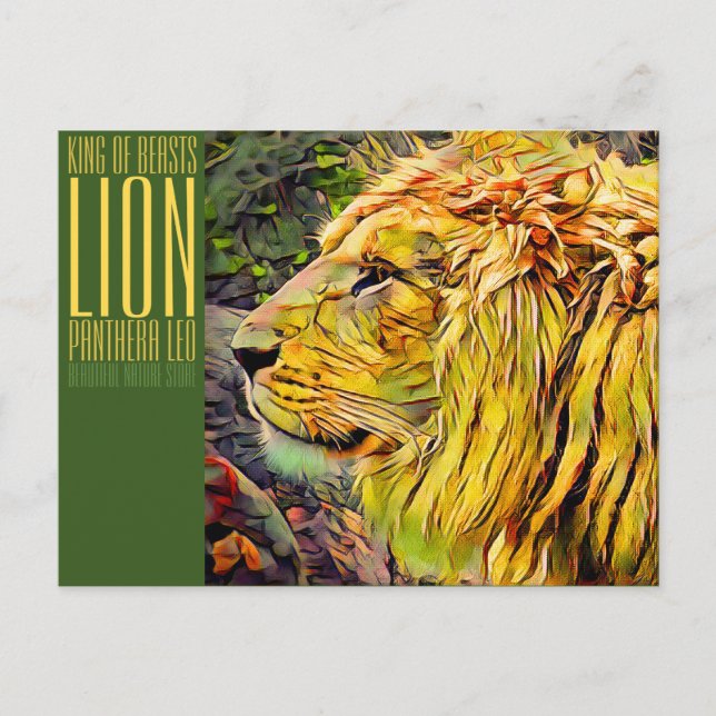 Lion [Postcard] Postkarte (Vorderseite)