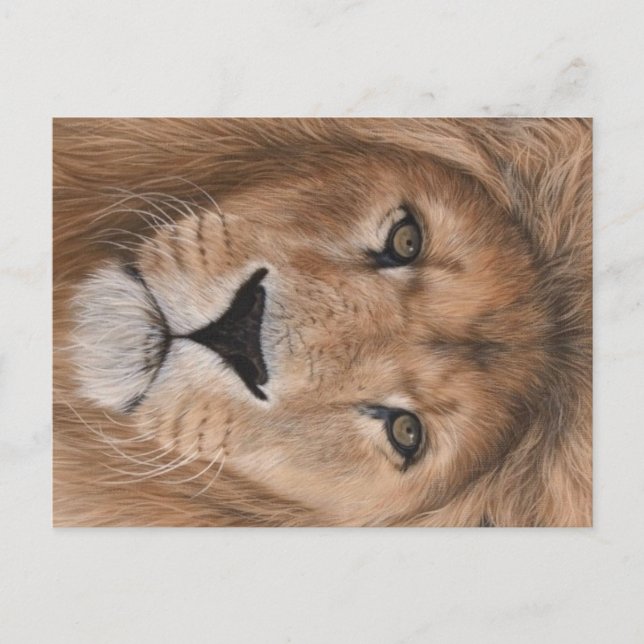 Lion Postcard Postkarte (Vorderseite)