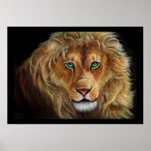 Lion Poster