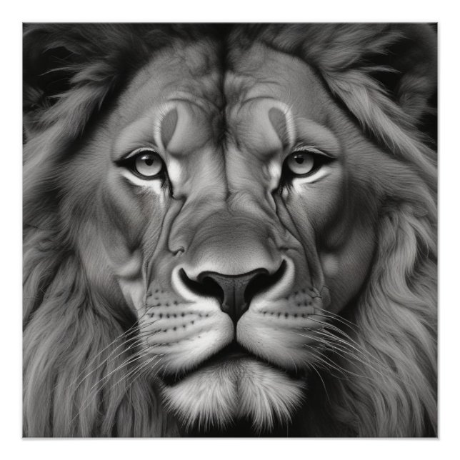 Lion Poster (Vorderseite)