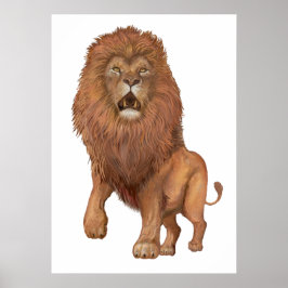Lion Poster