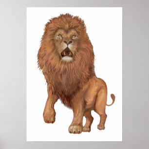 Lion Poster