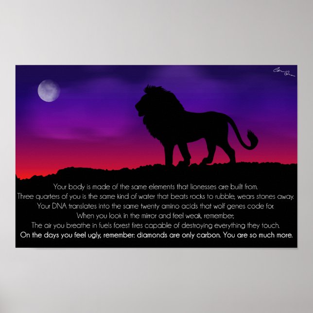 Lion Poster (Vorne)