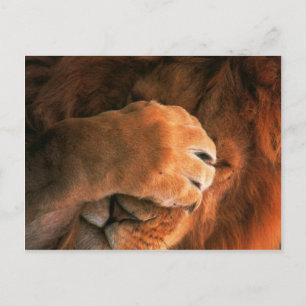 Lion Postkarte