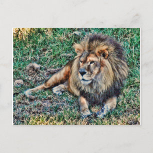 Lion Postkarte
