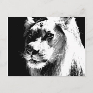 Lion Postkarte