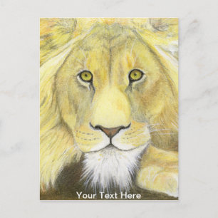 Lion Postkarte