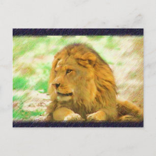 Lion-Postkarte Postkarte