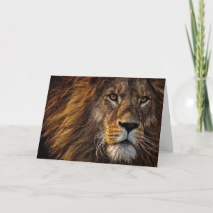 Lion Predator Lion Karte