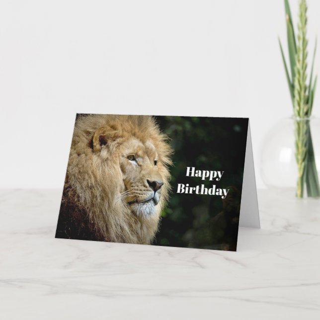 Lion Profile Wildlife Foto Birthday Karte (Vorderseite)