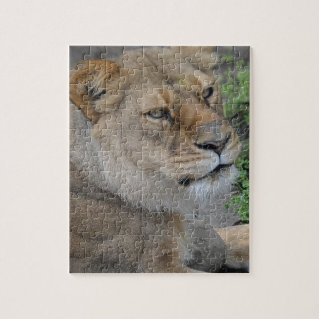 Lion Puzzle (Vertikal)