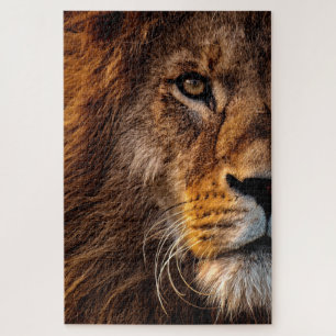 Lion Puzzle
