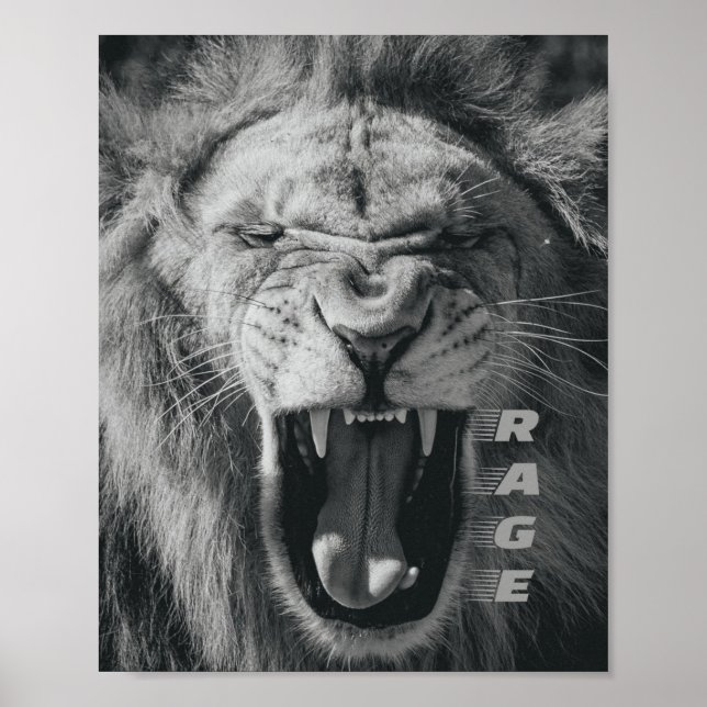 Lion Rage Black und White Roar Poster (Vorne)