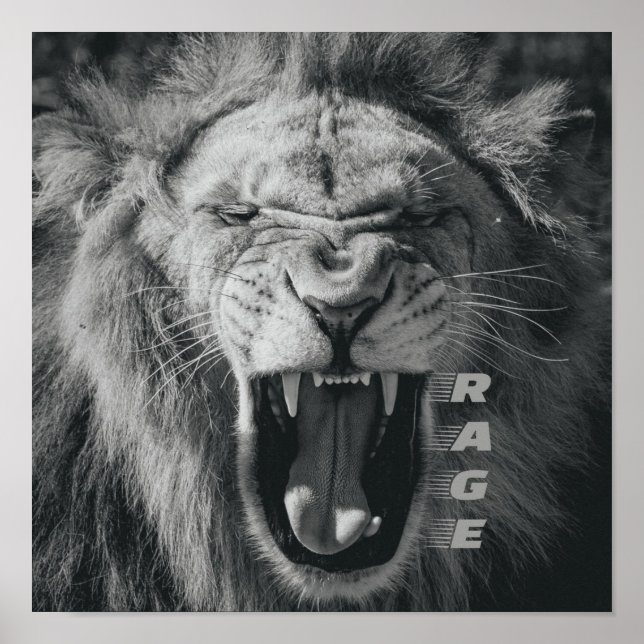 Lion Rage Black und White Roar Poster (Vorne)