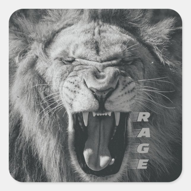 Lion Rage Black und White Roar Quadratischer Aufkleber (Vorderseite)