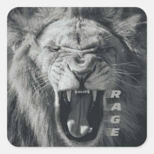 Lion Rage Black und White Roar Quadratischer Aufkleber