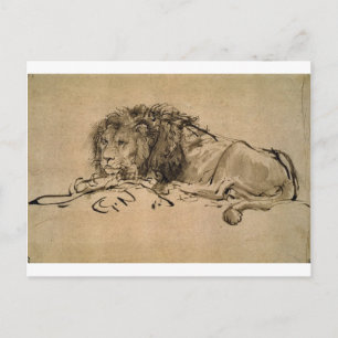 Lion Resting von Rembrandt Postkarte