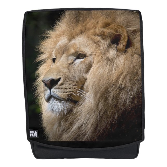 Lion Rucksack (Vorderseite)