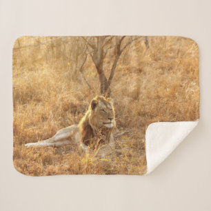 Lion Sherpa Blanket Sherpadecke