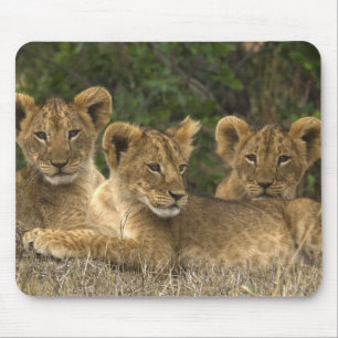 Lion Siblings Mousepad