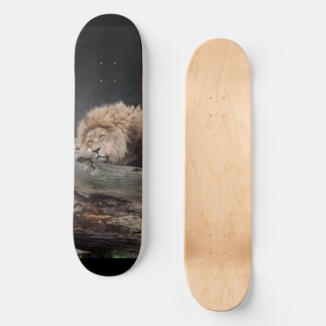 Lion Skateboard (Vorderseite)