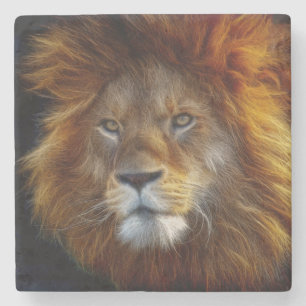 Lion Steinuntersetzer
