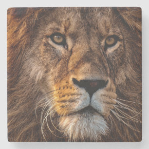 Lion Steinuntersetzer