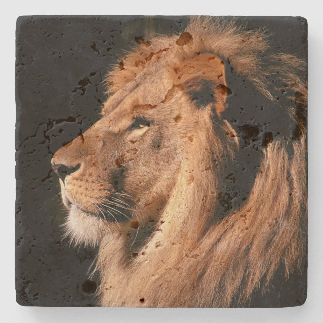 Lion Stone Untersetzer (Vorderseite)