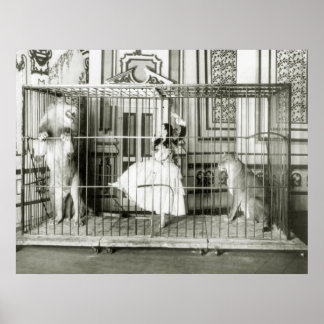 Lion Tamer: 1897 Poster