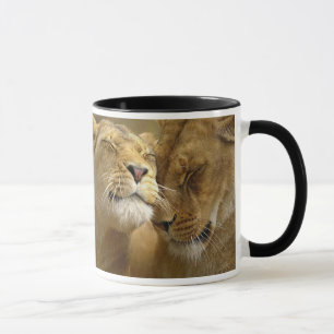 Lion Tasse