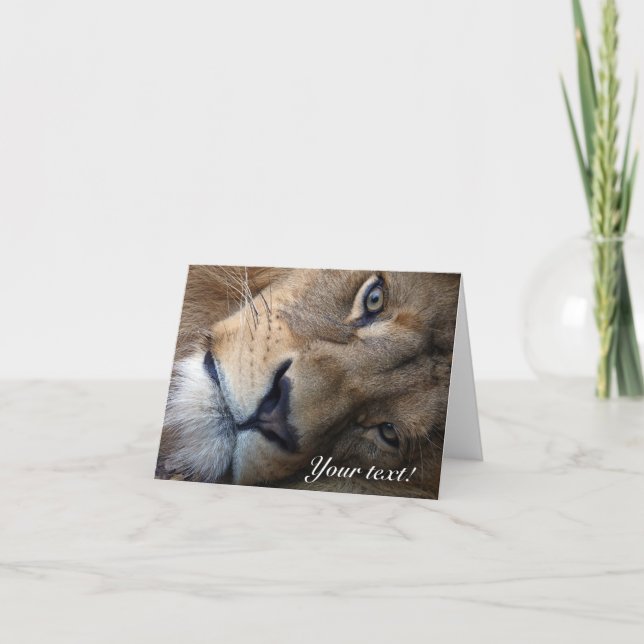 Lion Thank You Card Dankeskarte (Vorderseite)