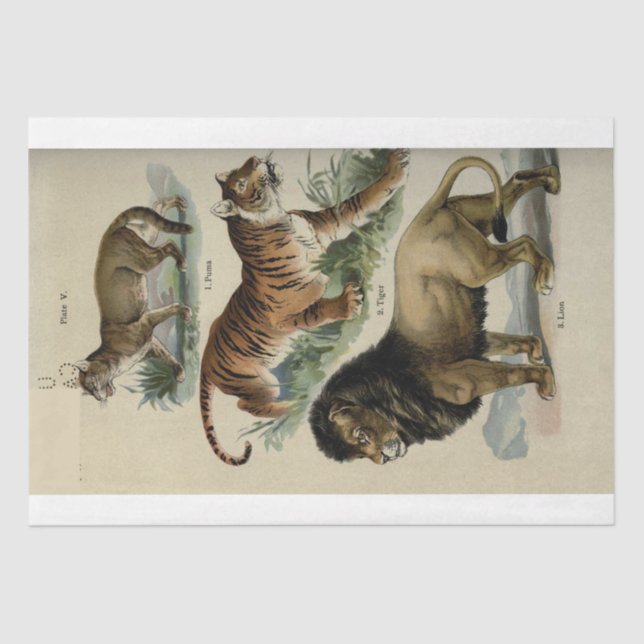 Lion Tiger Puma Ephemera Decoupage Seidenpapier (Vorderseite)